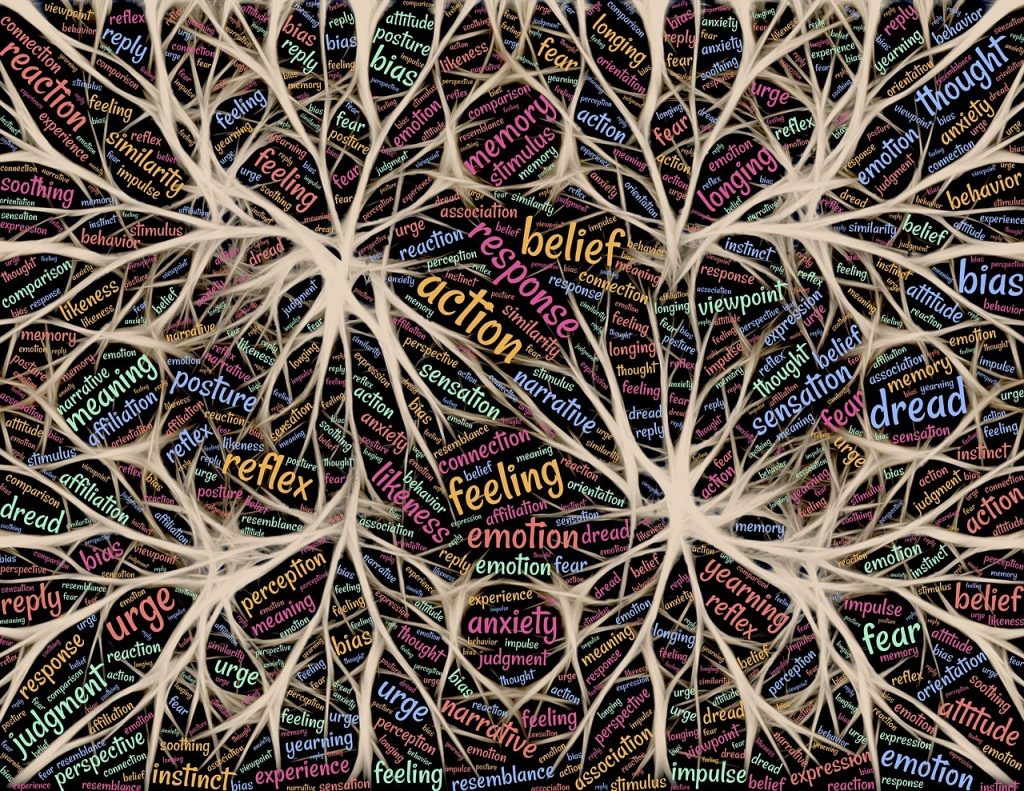 neurofeedback dinamic
