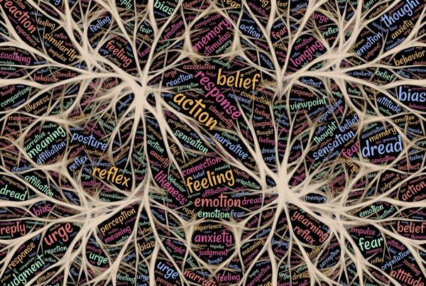 neurofeedback dinamic