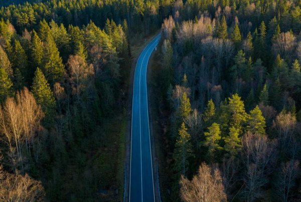 Cum sa incepi anul 2026 – 5 repere psihologice esentiale