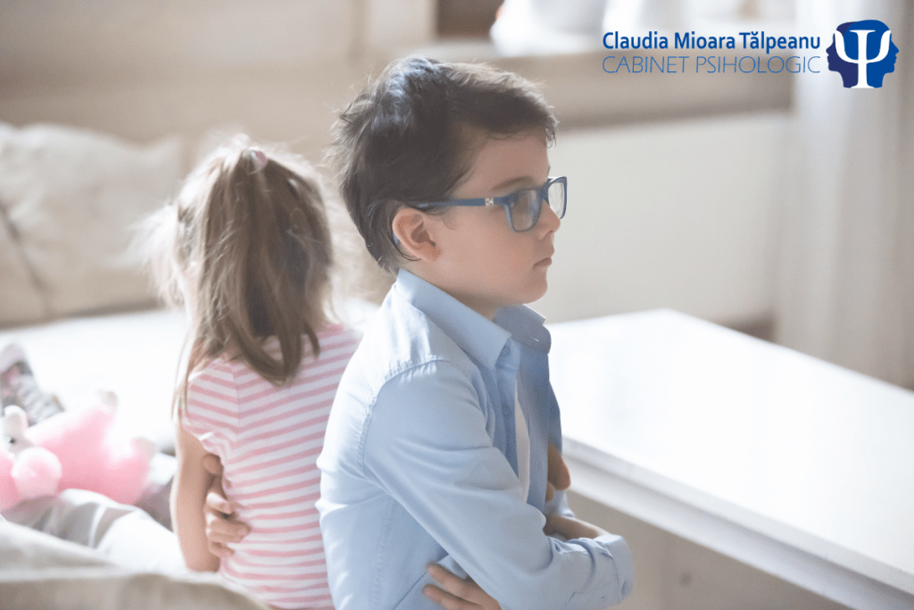 consilierea familiei recompuse-frati vitregi